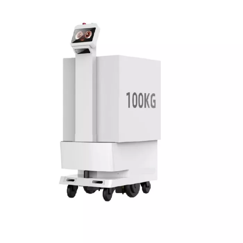 តើ Next-Gen L4 Delivery Robots ចុងក្រោយដោះស្រាយ 