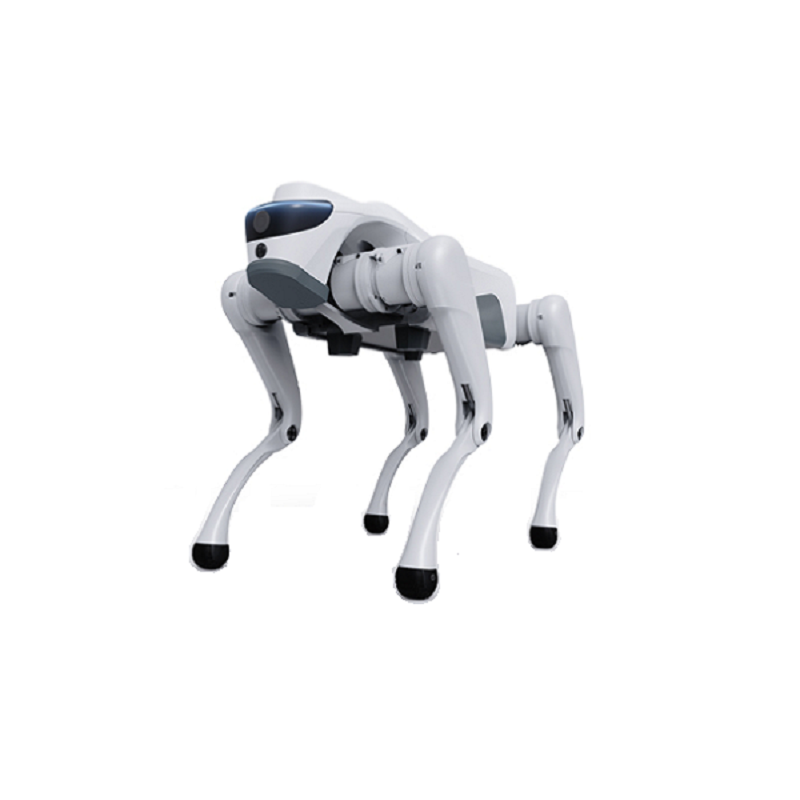 តើមនុស្សយន្ត quadruped អាចផ្លាស់ប្តូរកម្មវិធីឧស្សាហកម្មទំនើប និងឆ្លាតវៃដោយរបៀបណា?
