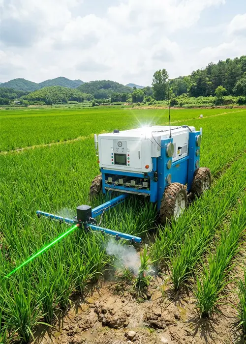 ការត្រួតពិនិត្យស្មៅច្បាស់លាស់
